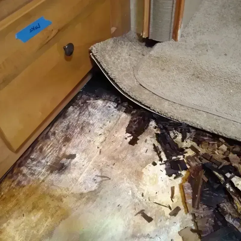 Wood Floor Water Damage in Clearwater, FL